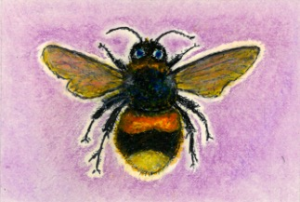 bee