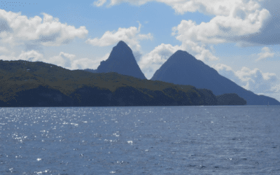 Isola Book Review Allegra Goodman