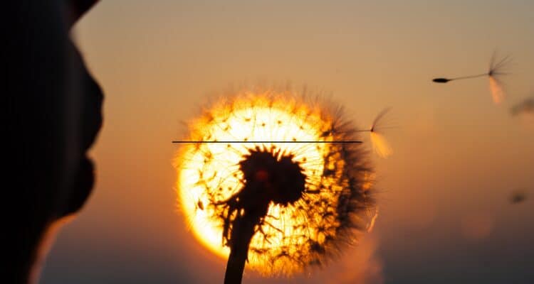 Child blowing on a plant, implying the end of the world, as warned in If Anyone Builds It, Everyone Dies.
